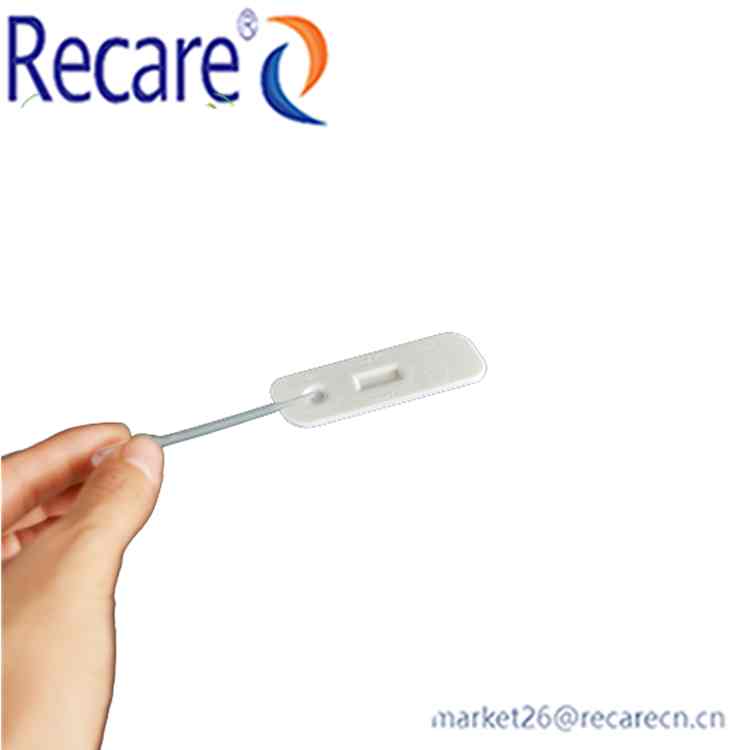 rotavirus stool test the best rapid testing kit factory