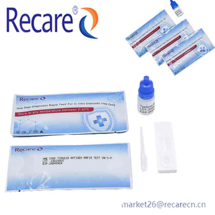 typhoid rapid test kit rapid antigen diagnostic supplier